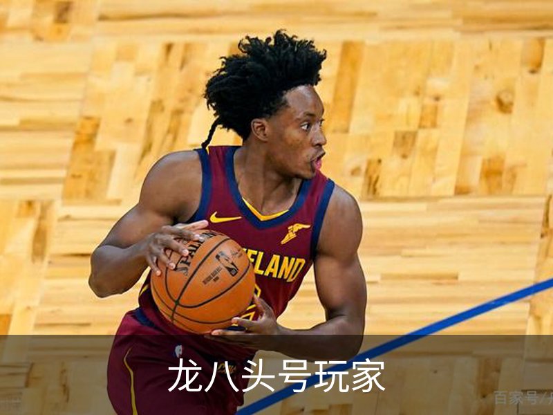 龙八头号玩家简介